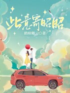 此意寄昭昭在线阅读
