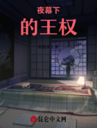 夜幕下的王权在线阅读
