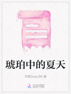 琥珀中的夏天在线阅读