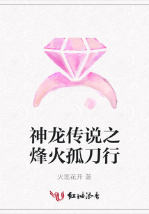 神龙传说之烽火孤刀行