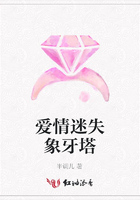 爱情迷失象牙塔在线阅读