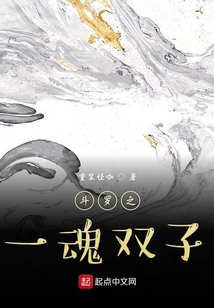 斗罗之一魂双子