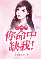 方先生，你命中缺我！在線閱讀