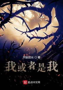 我或者是我