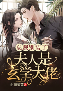 總裁別裝了，夫人是玄學大佬