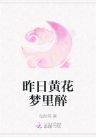 昨日黄花梦里醉在线阅读