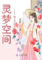 灵梦空间特工帝妃小马甲