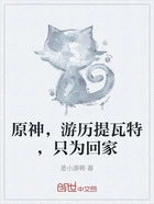 原神,游历提瓦特,只为回家在线阅读