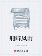 刑辩风雨在线阅读