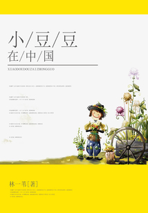 小豆豆在中國