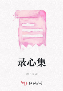 錄心集