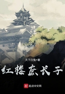 The Eldest Son of the Red Mansion Concubine
