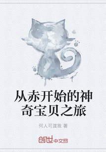 從赤開始的神奇寶貝之旅