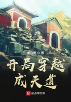 开局穿越成天道在线阅读