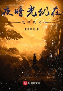 夜暗光猶在之尋仇記