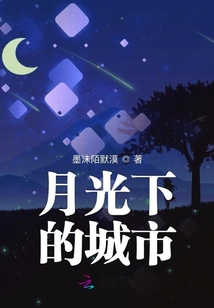 月光下的城市