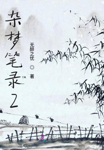 杂梦笔录2