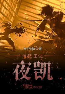 海贼王之夜凯