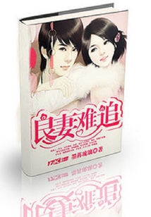 良妻難追
