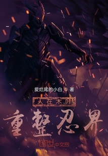人在木葉重整忍界