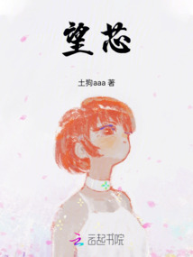望芯