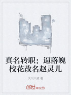 真名转职:逼落魄校花改名赵灵儿在线阅读