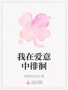 我在爱意中徘徊在线阅读