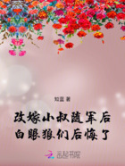 改嫁小叔随军后,白眼狼们后悔了在线阅读