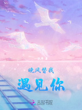 晚风替我遇见你在线阅读