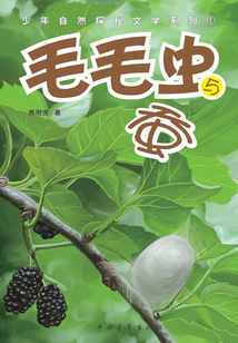毛毛蟲與蠶