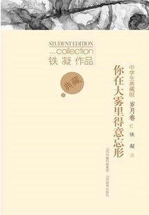 你在大霧里得意忘形