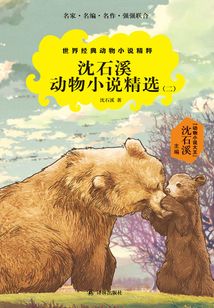 沈石溪動物小說精選（二）