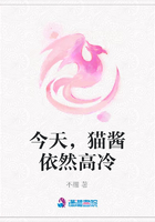 今天，貓醬依然高冷在線閱讀