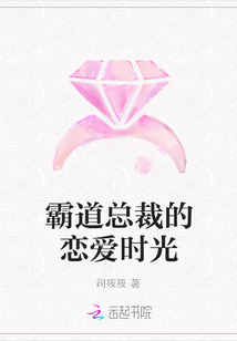 霸道總裁的戀愛時光