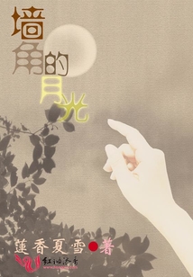 墙角的月光