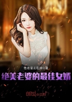 絕美老婆的最佳女婿在線閱讀