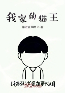 我家的貓王