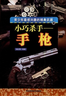 小巧杀手：手枪