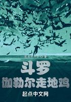 斗罗:伽勒尔走地鸡
