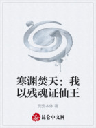 寒渊焚天:我以残魂证仙王在线阅读