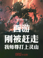 西游：剛被趕走，我?guī)熥鸫蛏响`山在線閱讀