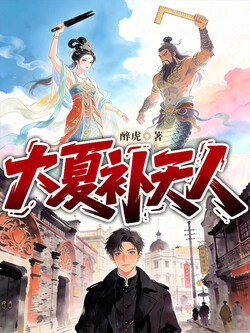大夏补天人 封面