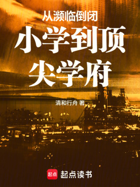 从濒临倒闭小学到顶尖学府在线阅读