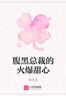 腹黑总裁的火爆甜心