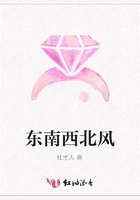 東南西北風在線閱讀