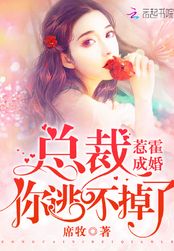 霸总你逃不掉了在线阅读