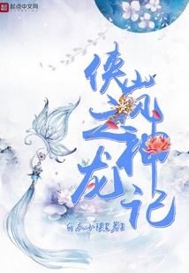 侠岚之神龙记