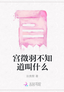 宮徵羽不知道叫什么