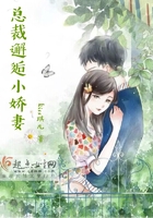 總裁邂逅小嬌妻在線閱讀