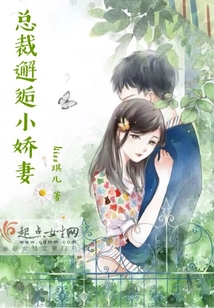 總裁邂逅小嬌妻